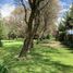 在墨西哥出售的 Quinta, Lerma, Mexico, 墨西哥