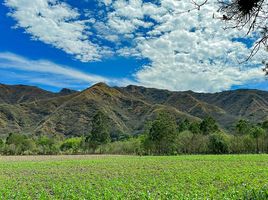  Terreno (Parcela) en venta en Loja, Loja, Loja, Loja