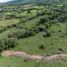 Land for sale in Jerico, Antioquia, Jerico