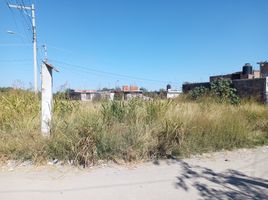  Terreno (Parcela) en venta en Irapuato, Guanajuato, Irapuato
