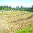  Land for sale in Tegallalang, Gianyar, Tegallalang