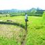  Land for sale in Tegallalang, Gianyar, Tegallalang