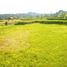  Land for sale in Tegallalang, Gianyar, Tegallalang