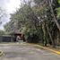 在Morelos出租的4 卧室 屋, Huitzilac, Morelos