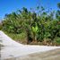  Land for sale in Alfonso, Calabarzon, Alfonso