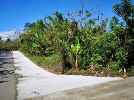  Grundstück zu verkaufen in Alfonso, Calabarzon, Alfonso