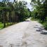 Land for sale in Alfonso, Calabarzon, Alfonso
