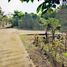  Land for sale in Alfonso, Calabarzon, Alfonso