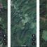  Land for sale in Dist Mixe, Oaxaca, Dist Mixe