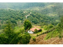  Terreno (Parcela) en venta en Girardota, Antioquia, Girardota