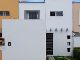 3 Schlafzimmer Villa zu verkaufen in Temoaya, Mexico, Temoaya