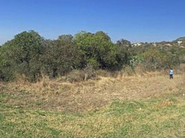  Terreno (Parcela) en venta en Santa Maria, Cordobá, Santa Maria