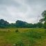  Land for sale in Dramaga, Bogor, Dramaga