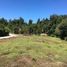  Terreno (Parcela) en venta en Los Ríos, Futrono, Ranco, Los Ríos