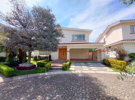 Maison 3 chambre à vendre à Toluca, Mexico, Toluca