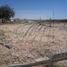  Land for sale in Nuevo Laredo, Tamaulipas, Nuevo Laredo, Tamaulipas