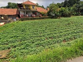  Tanah for sale in Bogor, West Jawa, Ciampea, Bogor