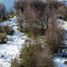  Terreno (Parcela) en venta en Chile, Coihaique, Coihaique, Aisén del General Carlos Ibáñez del Campo, Chile