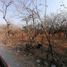  Land for sale in Yautepec, Morelos, Yautepec