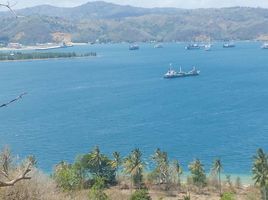  Grundstück zu verkaufen in Lombok Barat, West Nusa Tenggara, Sekotong Tengah