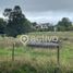  Land for sale in Chile, Futrono, Ranco, Los Rios, Chile