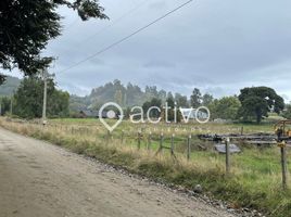  Land for sale in Chile, Futrono, Ranco, Los Rios, Chile