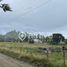  Land for sale in Chile, Futrono, Ranco, Los Rios, Chile