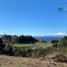  Land for sale in Chile, Puerto Varas, Llanquihue, Los Lagos, Chile