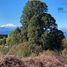  Land for sale in Chile, Puerto Varas, Llanquihue, Los Lagos, Chile