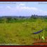  Land for sale in Selemadeg, Tabanan, Selemadeg