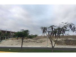  Land for sale in Montecristi, Manabi, Montecristi, Montecristi