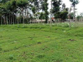  Land for sale in Bandung, West Jawa, Padalarang, Bandung