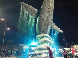  Terreno (Parcela) en venta en Playa Puerto Santa Lucia, Jose Luis Tamayo (Muey), Santa Elena