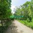  Land for sale in Cunduacan, Tabasco, Cunduacan