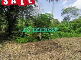  Land for sale in Cunduacan, Tabasco, Cunduacan