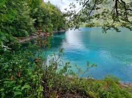  Land for rent in Palena, Los Lagos, Chaiten, Palena