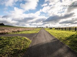  Land for sale in Chile, Puerto Varas, Llanquihue, Los Lagos, Chile
