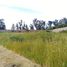  Land for sale in Celaya, Guanajuato, Celaya