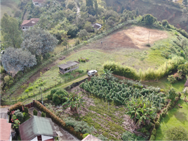  Grundstück zu verkaufen in Medellin, Antioquia, Medellin, Antioquia