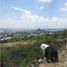 在Irapuato, Guanajuato出售的 土地, Irapuato