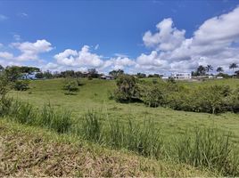  Land for sale in Pereira, Risaralda, Pereira