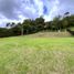 Terrain à vendre à Retiro, Antioquia, Retiro, Antioquia, Colombie