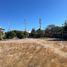  Terreno (Parcela) en venta en Baja California Sur, La Paz, Baja California Sur