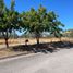  Terreno (Parcela) en venta en Baja California Sur, La Paz, Baja California Sur