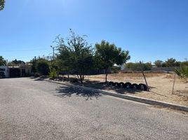  Terreno (Parcela) en venta en Baja California Sur, La Paz, Baja California Sur