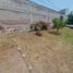 Villa 4 chambre à vendre à Nezahualcoyotl, Mexico, Nezahualcoyotl