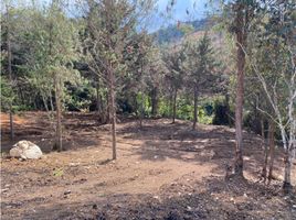  Grundstück zu verkaufen in Rionegro, Antioquia, Rionegro, Antioquia