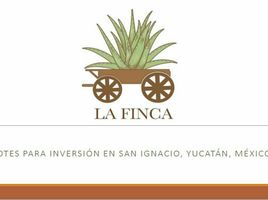 Terreno (Parcela) en venta en Progreso, Yucatán, Progreso