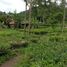  Land for sale in Bandung, West Jawa, Sumurbandung, Bandung