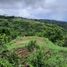  Land for sale in Lemery, Batangas, Lemery